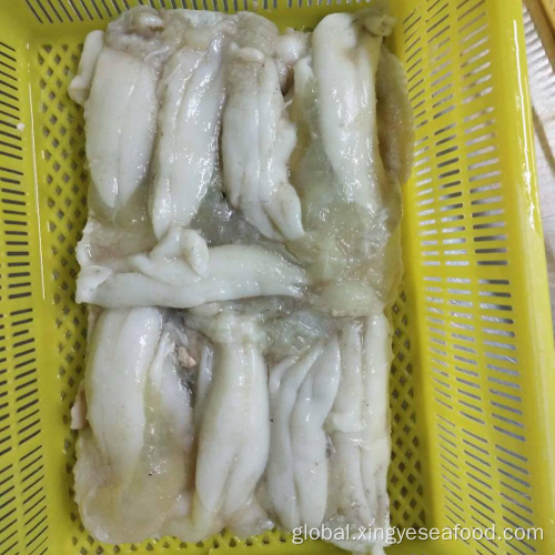 China Illex Argentinus Squid Eggs Frozen Squid Roes Supplier